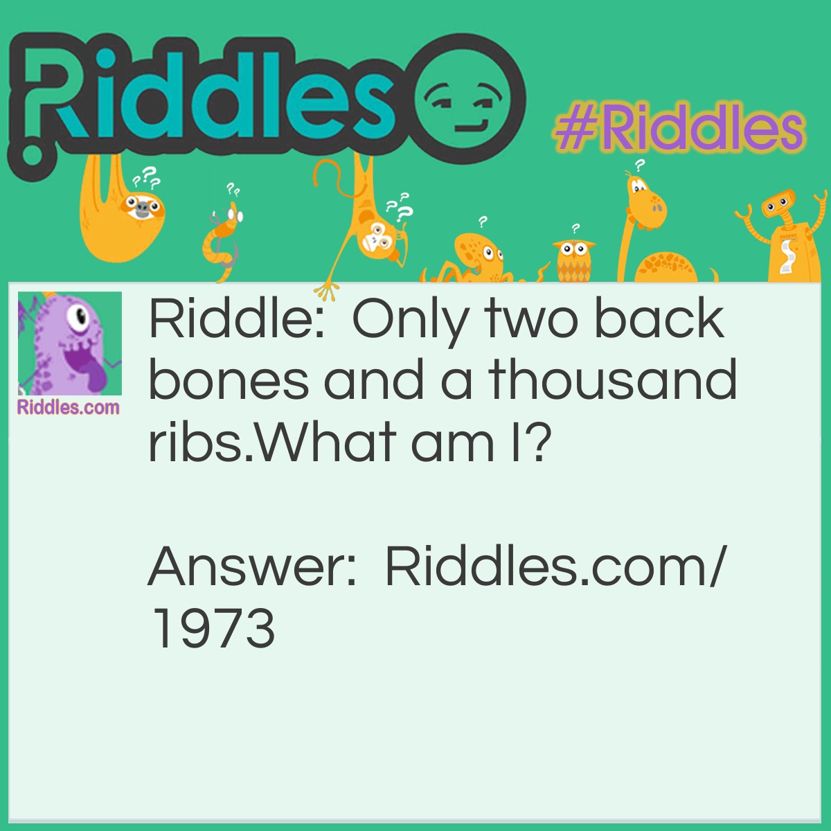 Riddle: Only two back bones and a thousand ribs.
What am I?
  Answer: Railroad track.