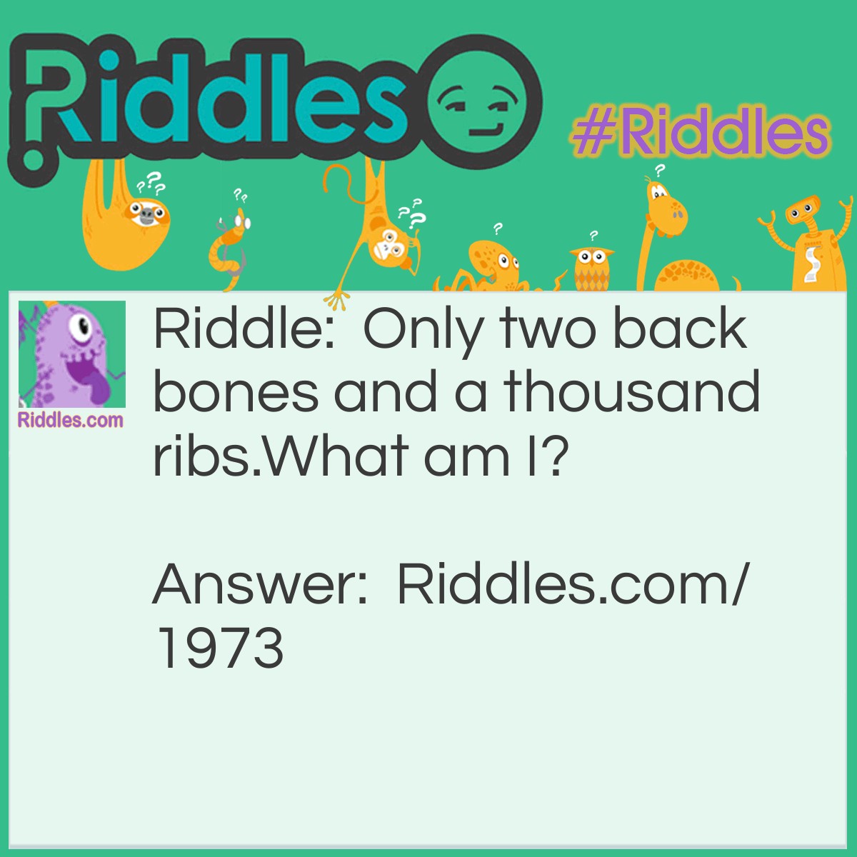 Riddle: Only two back bones and a thousand ribs.
What am I?
  Answer: Railroad track.