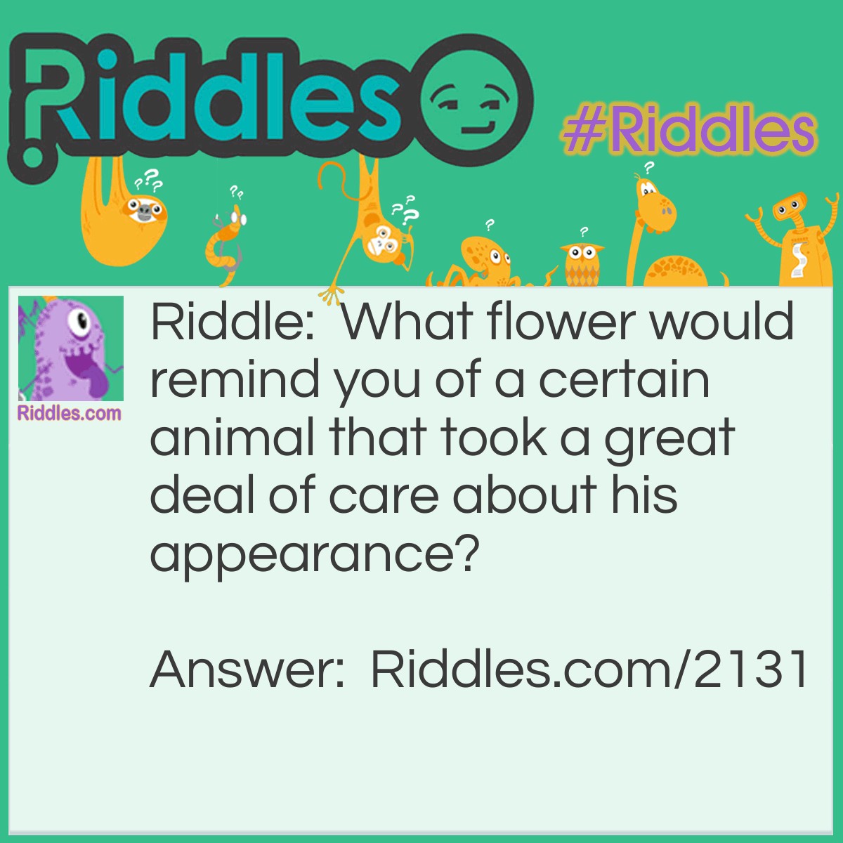 Riddle: What flower would remind you of a certain animal that took a great deal of care about his appearance? Answer: A dandelion (dandy lion).
