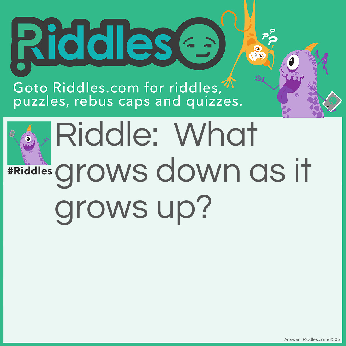 Riddle: What grows down as it grows up? Answer: A goose.