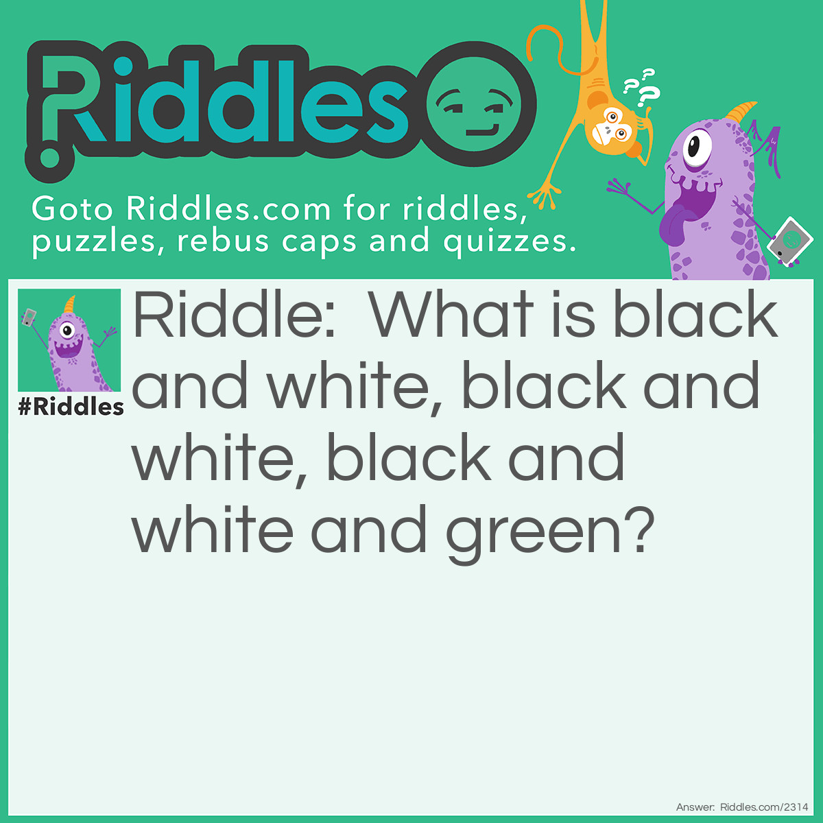 Riddle: What is black and white, black and white, black and white and green? Answer: Three skunks eating a pickle.