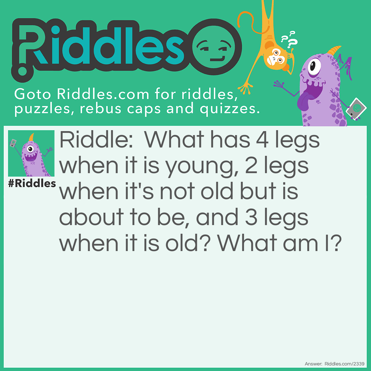 Riddle: What has 4 legs when it is young, 2 legs when it's not old but is about to be, and 3 legs when it is old? What am I? Answer: I am a human. I crawl on 4 legs when I am a baby I walk on 2 legs when I am an adult, and I have a cane while walking when I am old.