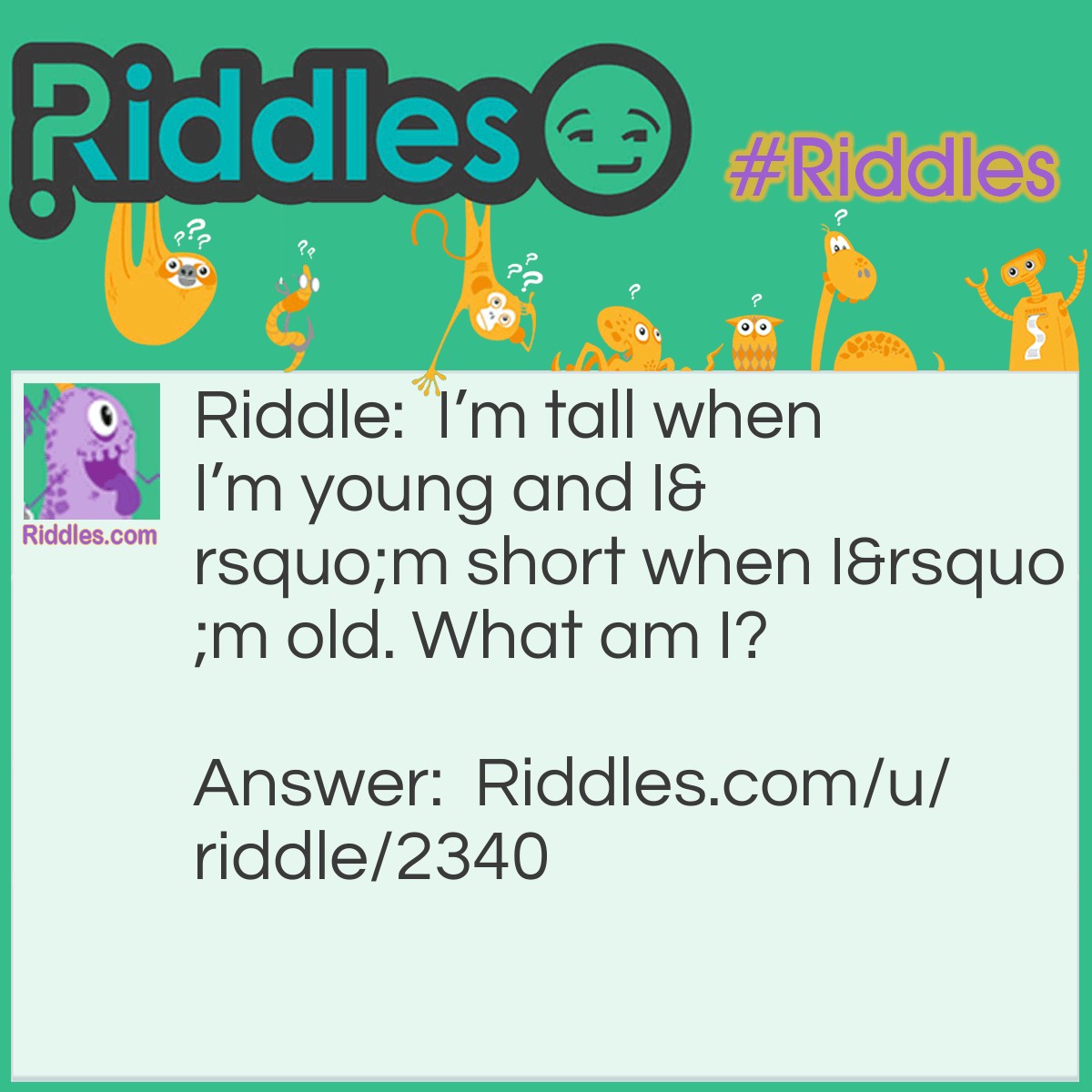 Riddle: I'm tall when I'm young and I'm short when I'm old. What am I? Answer: A candle.