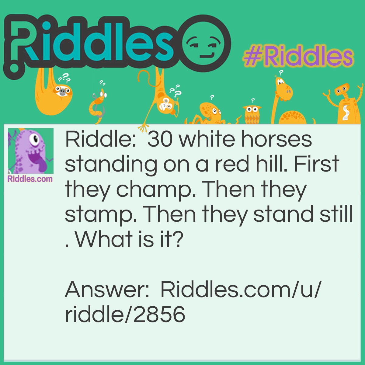 Riddle: 30 white horses standing on a red hill. First they champ. Then they stamp. Then they stand still. What is it? Answer: Teeth.