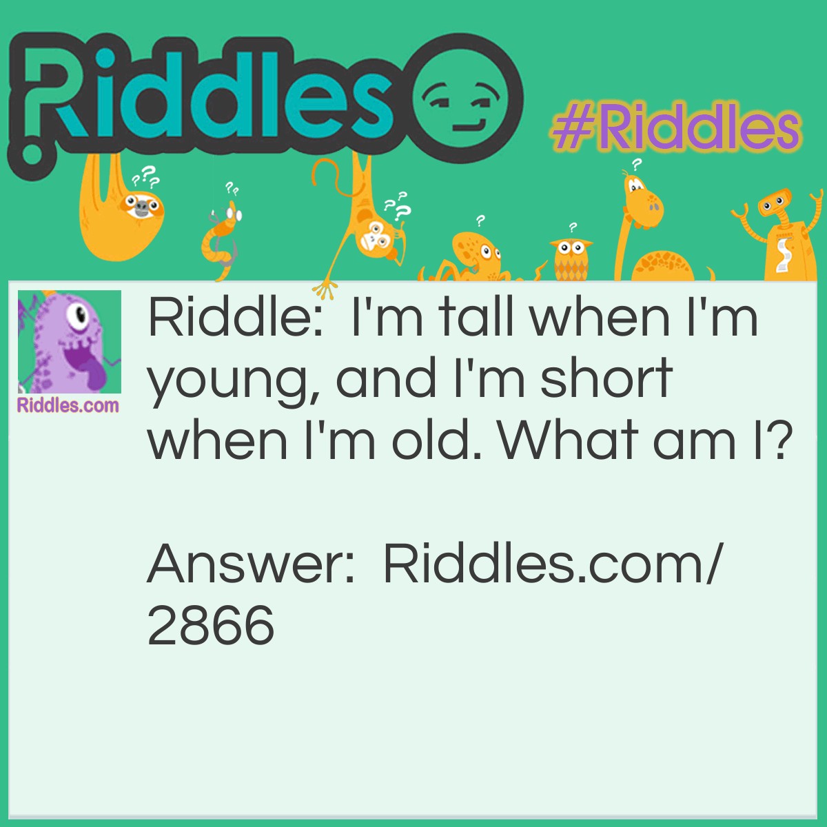 Riddle: I'm tall when I'm young, and I'm short when I'm old. What am I? Answer: A candle.