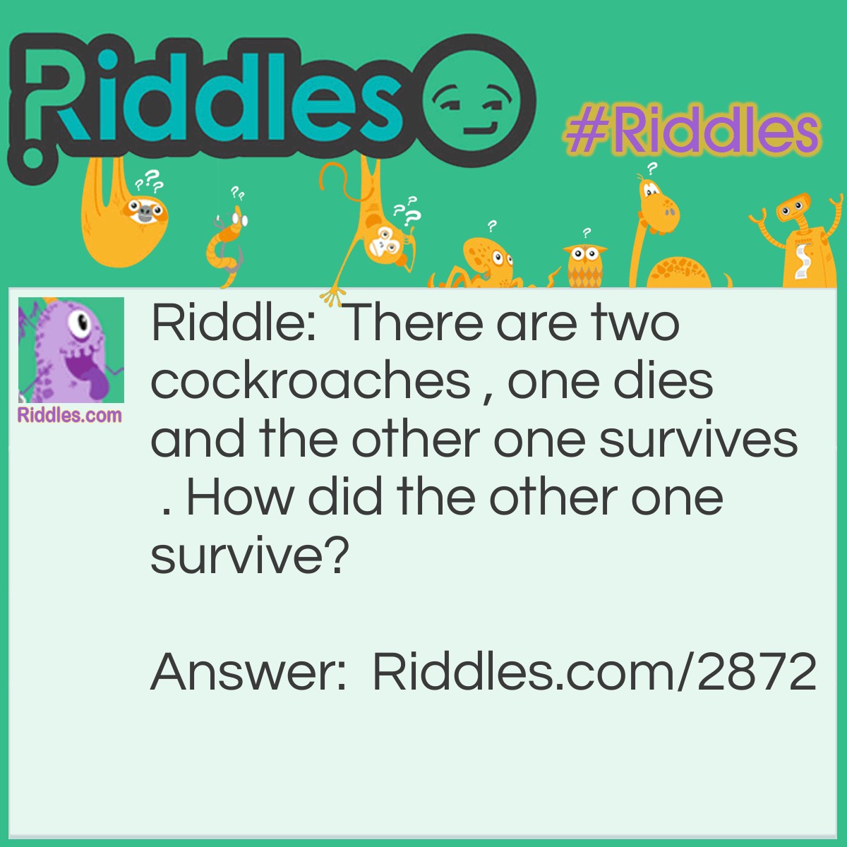 Riddle: There are two cockroaches , one dies and the other one survives. How did the other one survive? Answer: A women adopted it.