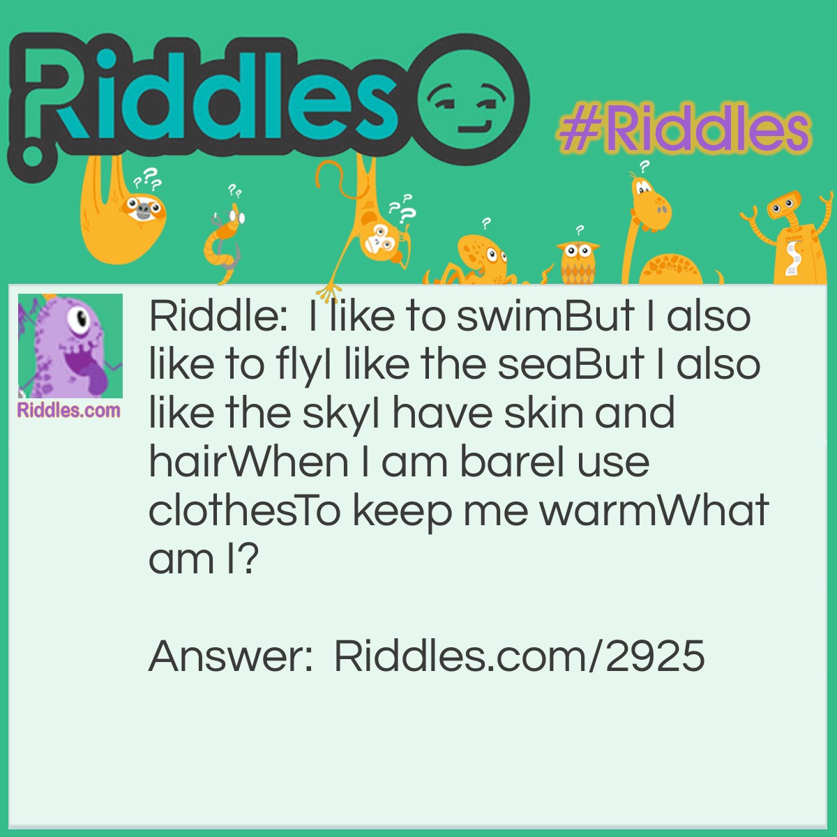 Riddle: I like to swim But I also like to fly I like the sea But I also like the sky I have skin and hair When I am bare I use clothes To keep me warm.  What am I? Answer: A human swimming in the sea And a human flying in an airplane.