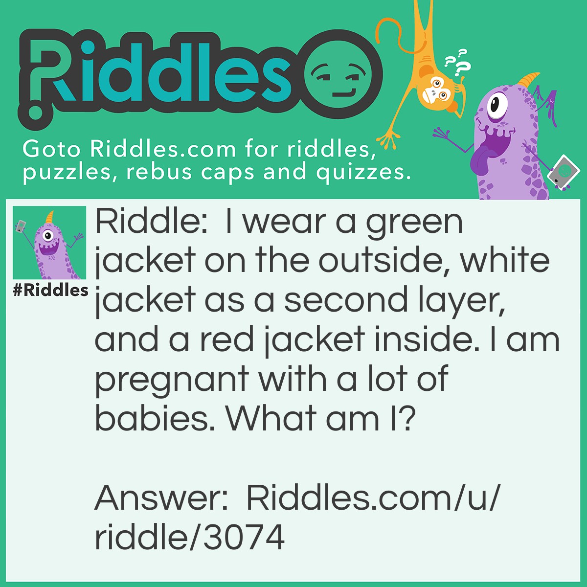 Riddle: I wear a green jacket on the outside, white jacket as a second layer, and a red jacket inside. I am pregnant with a lot of babies. What am I? Answer: A Watermelon.