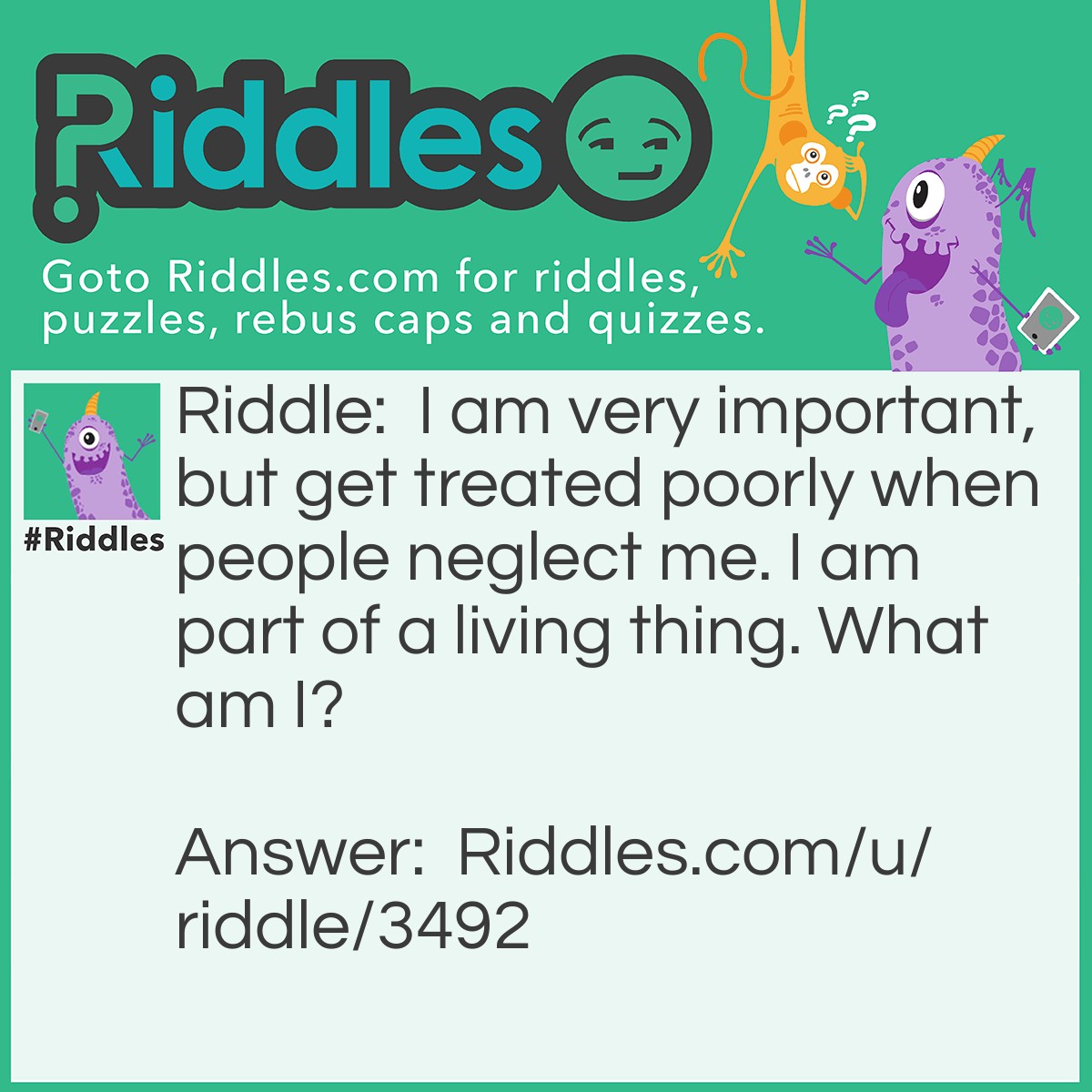 Riddle: I am very important, but get treated poorly when people neglect me. I am part of a living thing. What am I? Answer: Teeth.