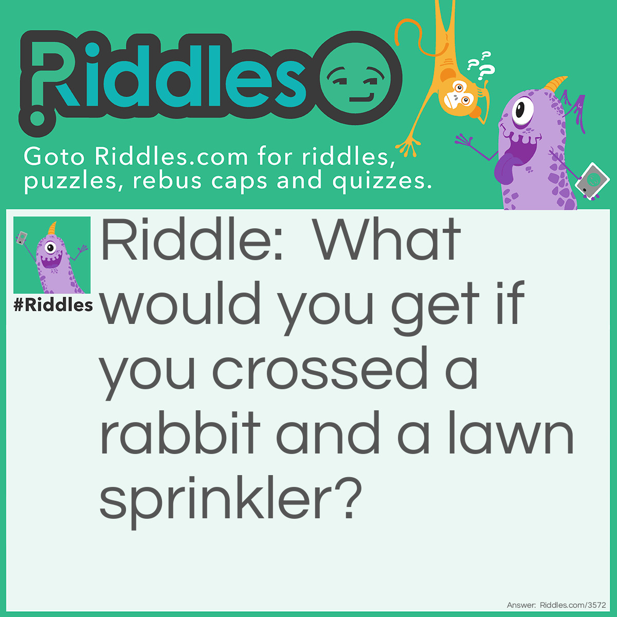 Riddle: What would you get if you crossed a rabbit and a lawn sprinkler? Answer: Hare spray.