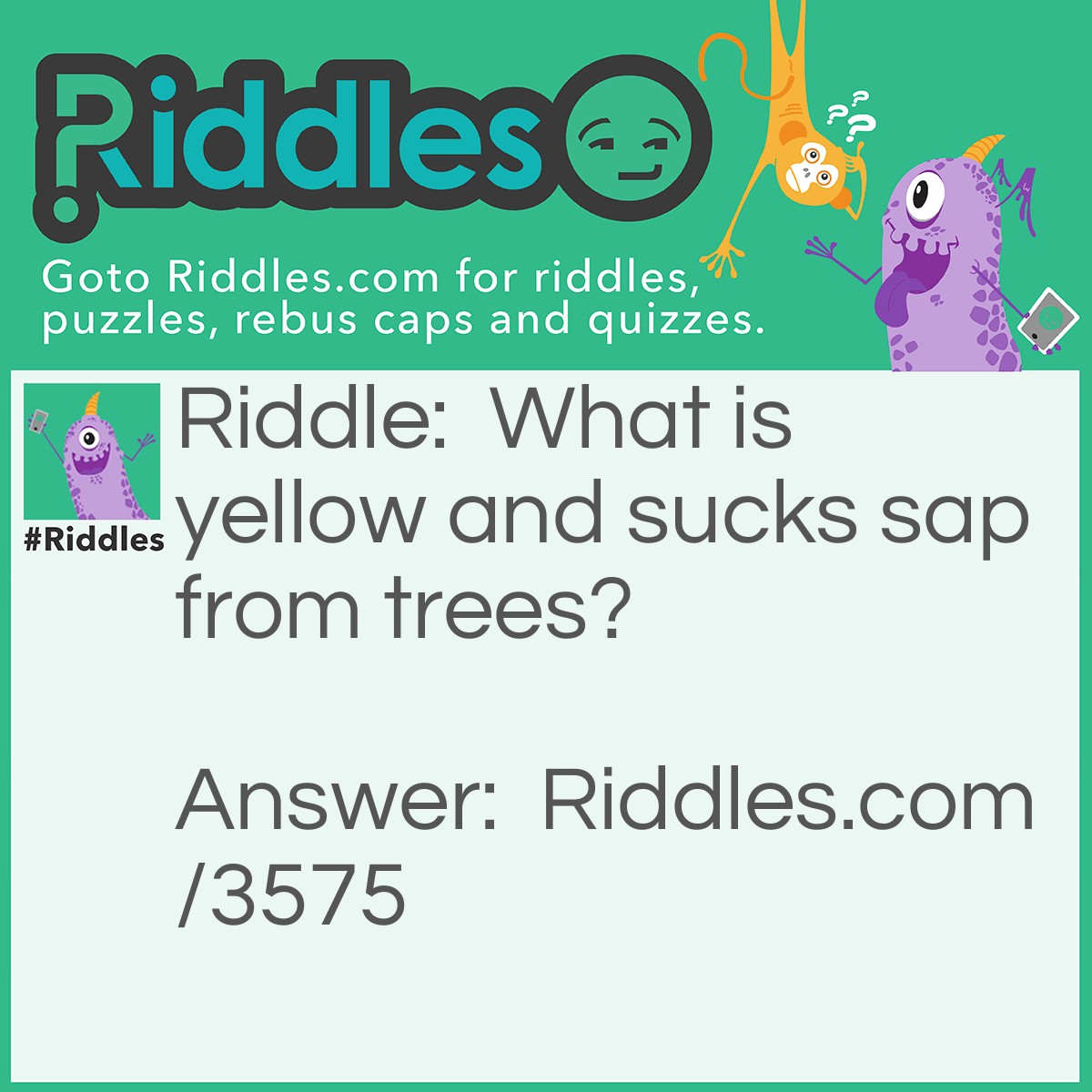 Riddle: What is yellow and sucks sap from trees? Answer: A yellow-bellied sap sucker.