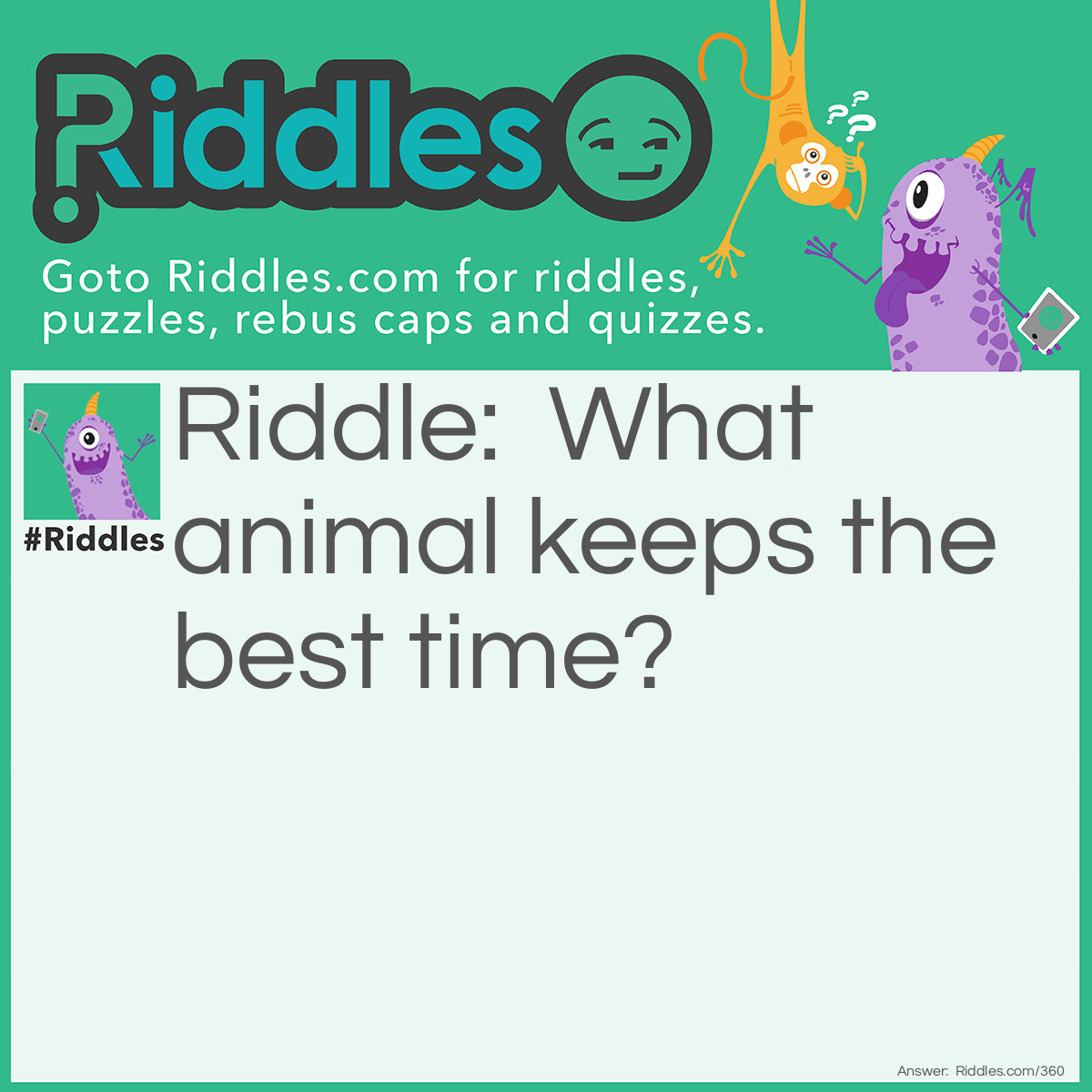 Riddle: What animal keeps the best time? Answer: A Watchdog.