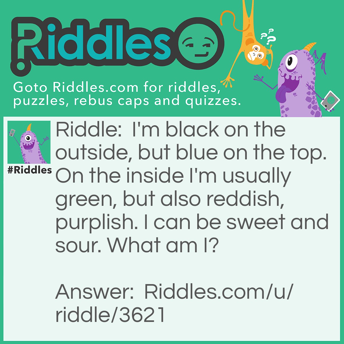 Riddle: I'm black on the outside, but blue on the top. On the inside I'm usually green, but also reddish, purplish. I can be sweet and sour. What am I? Answer: A blueberry.