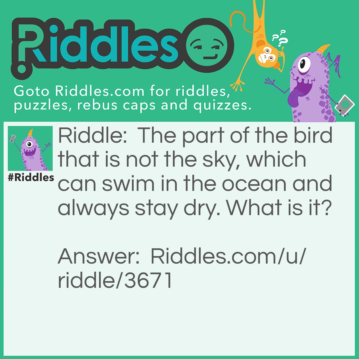 Riddle: The part of the bird that is not the sky, which can swim in the ocean and always stay dry. What is it? Answer: The birds shadow.