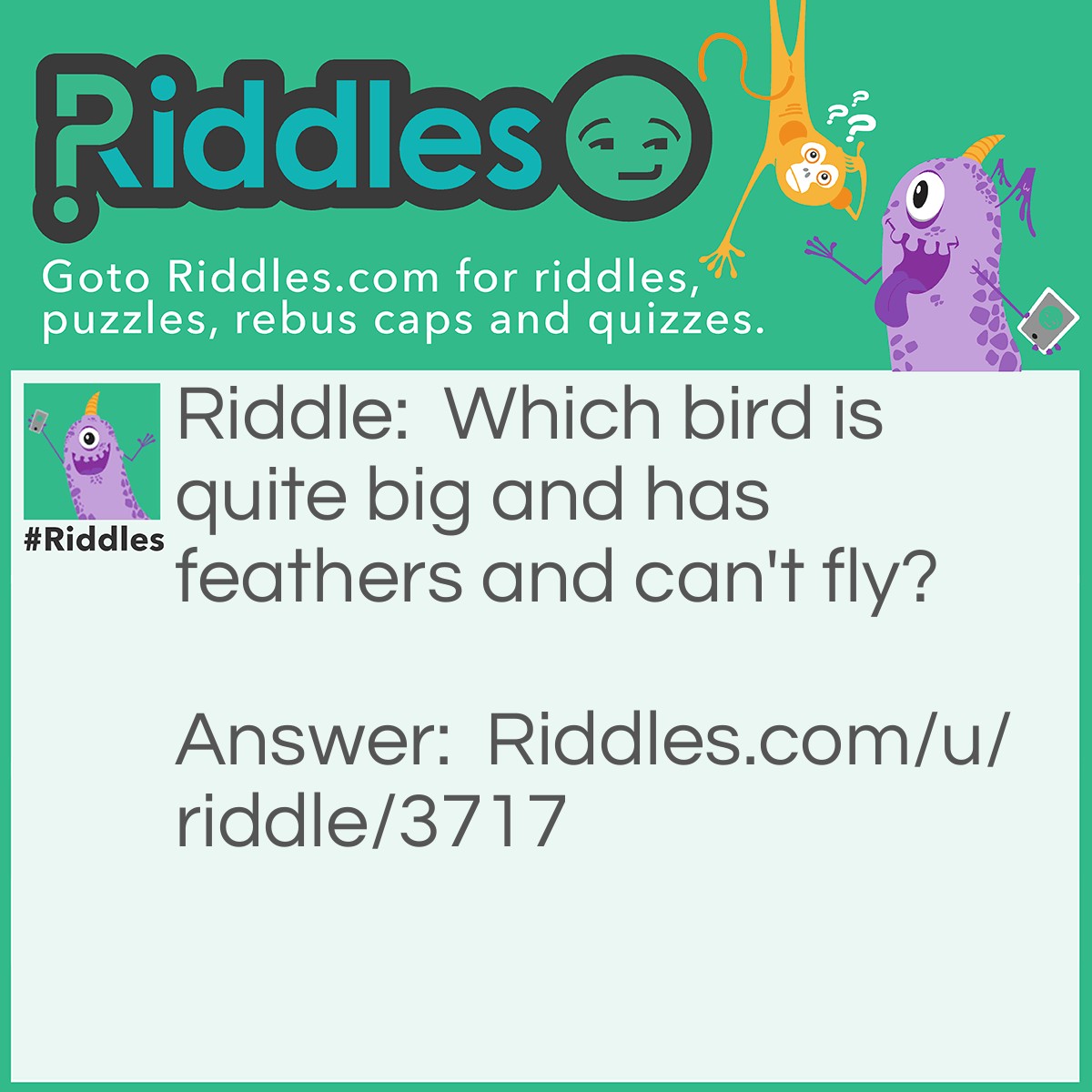 Riddle: Which bird is quite big and has feathers and can't fly? Answer: An Ostrich.