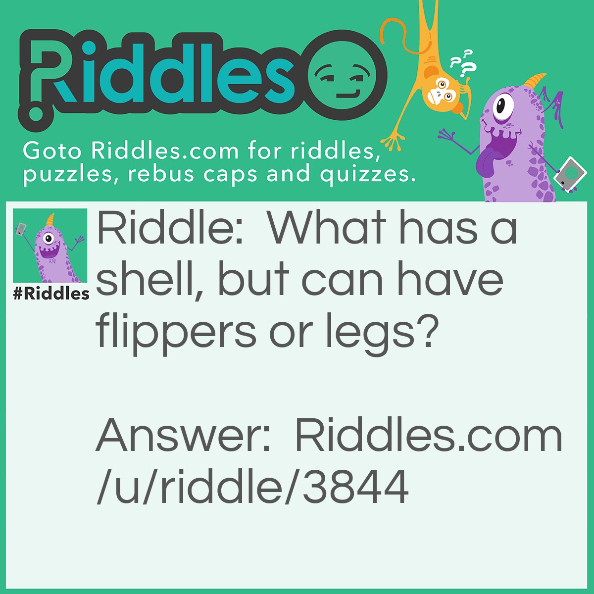Riddle: What has a shell, but can have flippers or legs? Answer: A turtle.