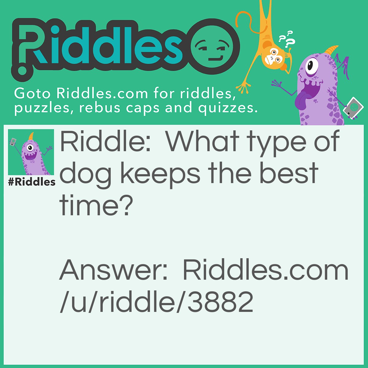 Riddle: What type of dog keeps the best time? Answer: A watchdog.