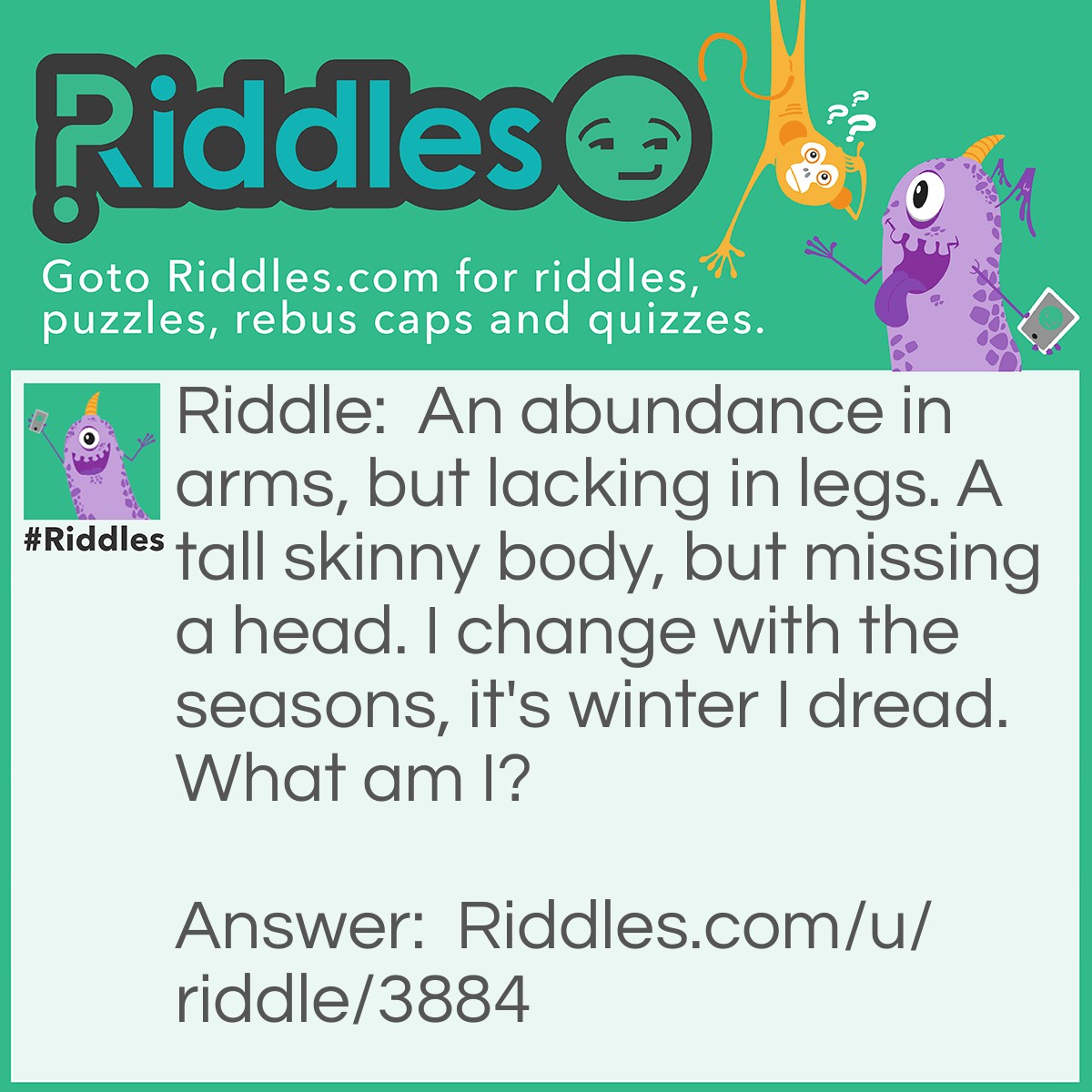 Riddle: An abundance in arms, but lacking in legs. A tall skinny body, but missing a head. I change with the seasons, it's winter I dread. What am I? Answer: A Tree.