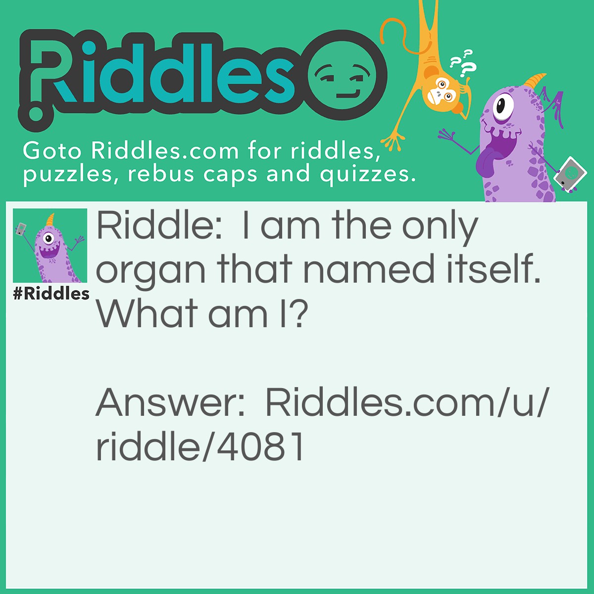 Riddle: I am the only organ that named itself. What am I? Answer: The brain.
