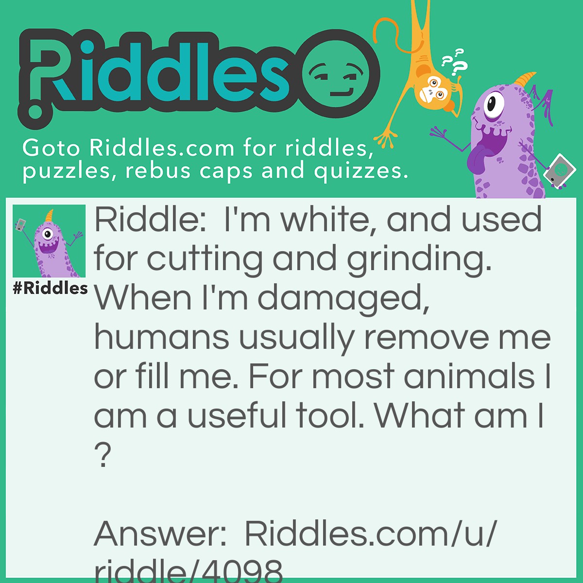 Riddle: I'm white, and used for cutting and grinding. When I'm damaged, humans usually remove me or fill me. For most animals I am a useful tool. What am I? Answer: A tooth.