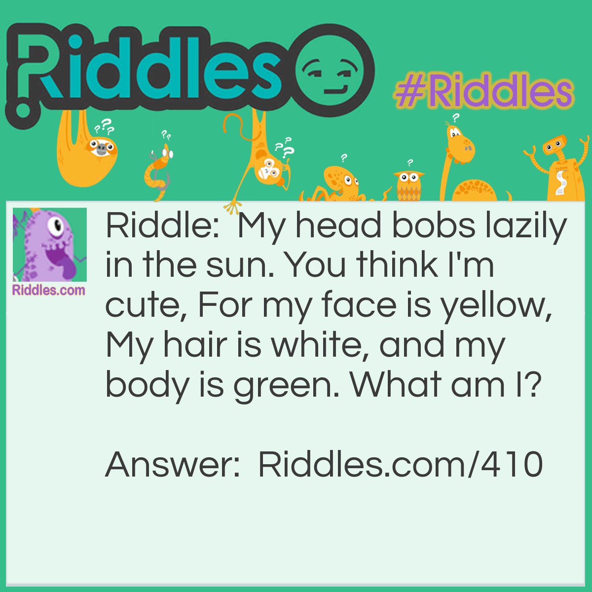 Riddle: My head bobs lazily in the sun. You think I'm cute, For my face is yellow, My hair is white, and my body is green. What am I? Answer: A daisy.