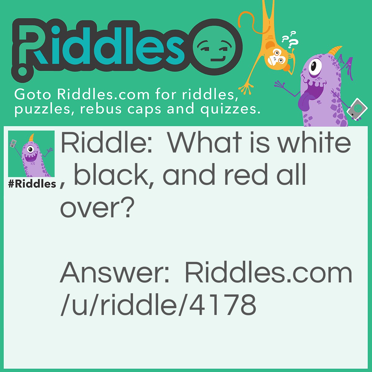 Riddle: What is white, black, and red all over? Answer: A skunk with a diaper rash! A zebra with a sunburn! A panda eating berries! Or a newspaper, whatever.
