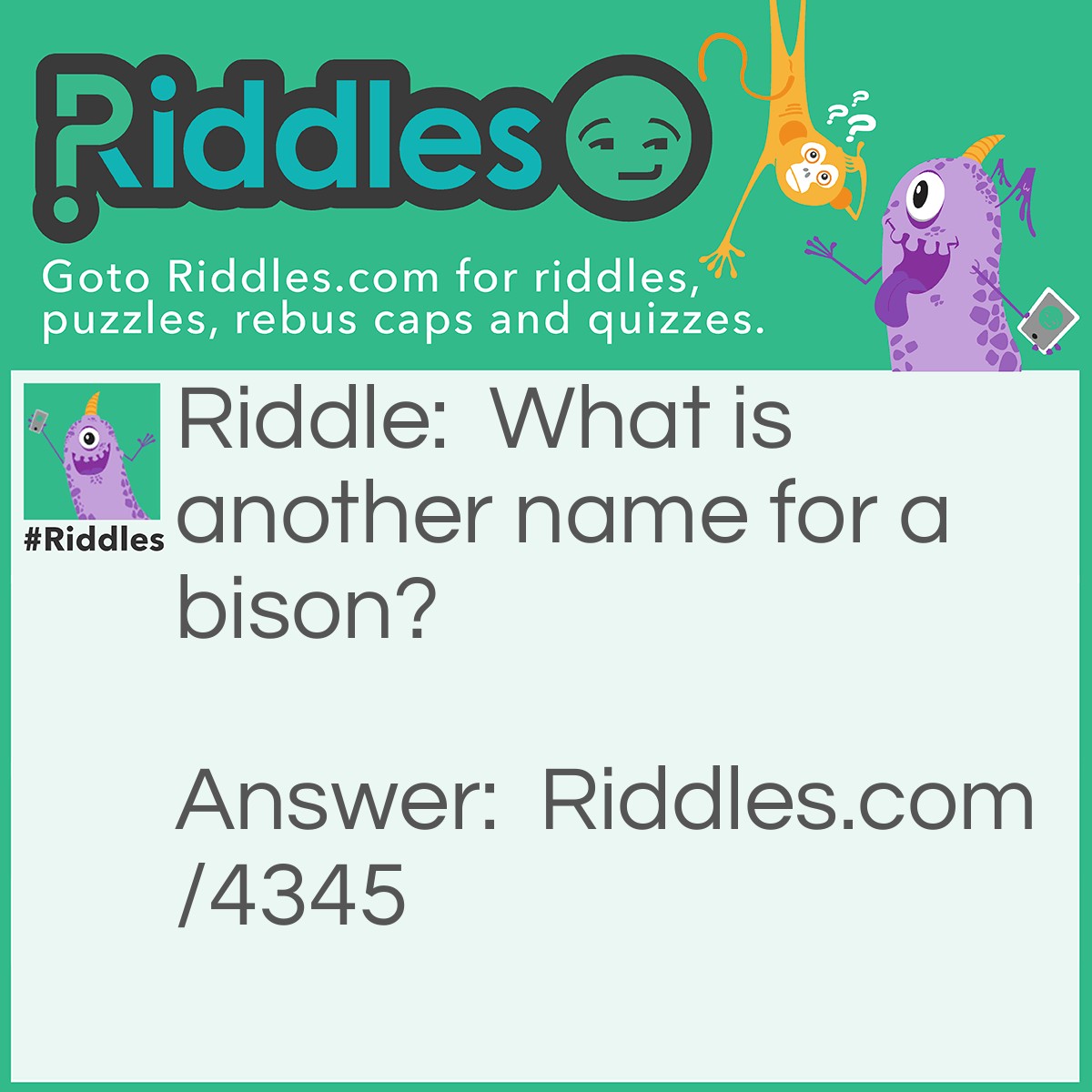 Riddle: What is another name for a bison? Answer: Buffalo.