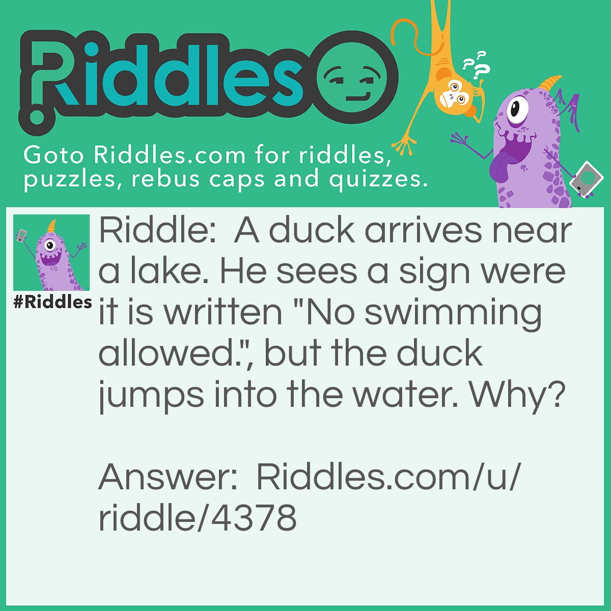 Riddle: A duck arrives near a lake. He sees a sign where it is written "No swimming allowed.", but the duck jumps into the water. Why? Answer: Because ducks can't read.