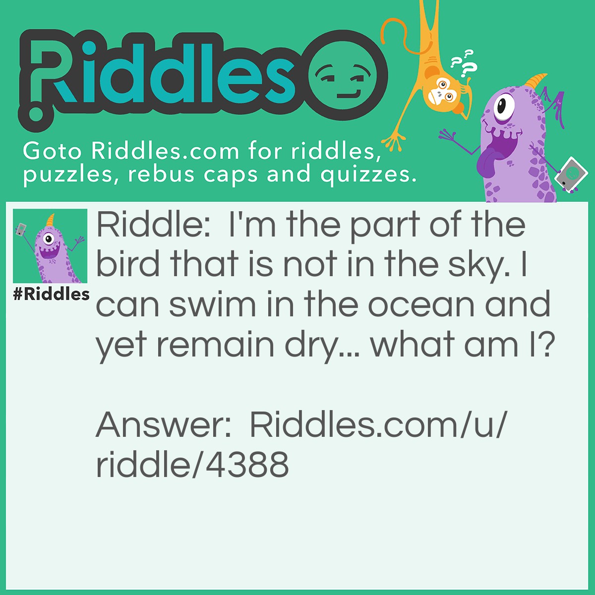 Riddle: I'm the part of the bird that is not in the sky. I can swim in the ocean and yet remain dry... what am I? Answer: A shadow.