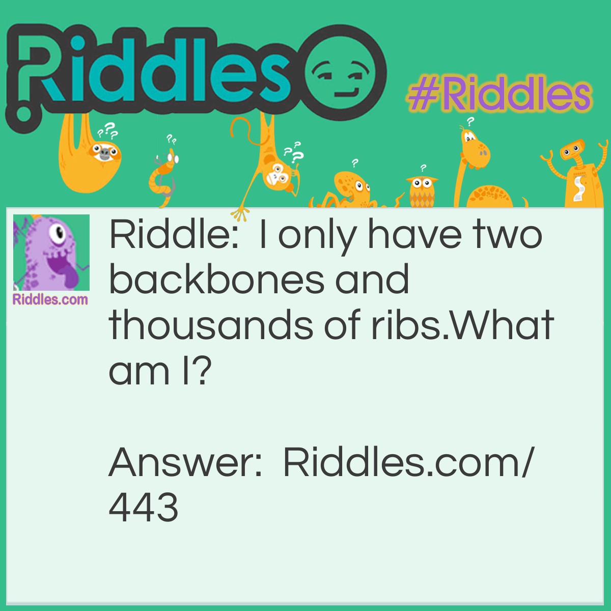 Riddle: I only have two backbones and thousands of ribs. 
What am I? Answer: A railroad.