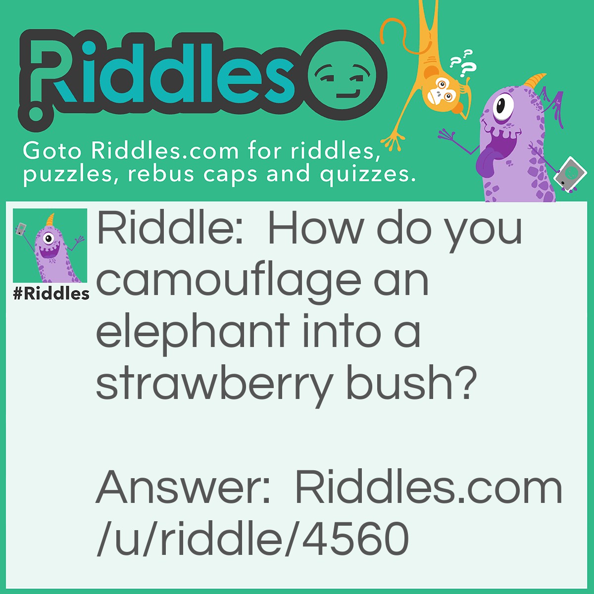 Riddle: How do you camouflage an elephant into a strawberry bush? Answer: Paint his toenails red.
