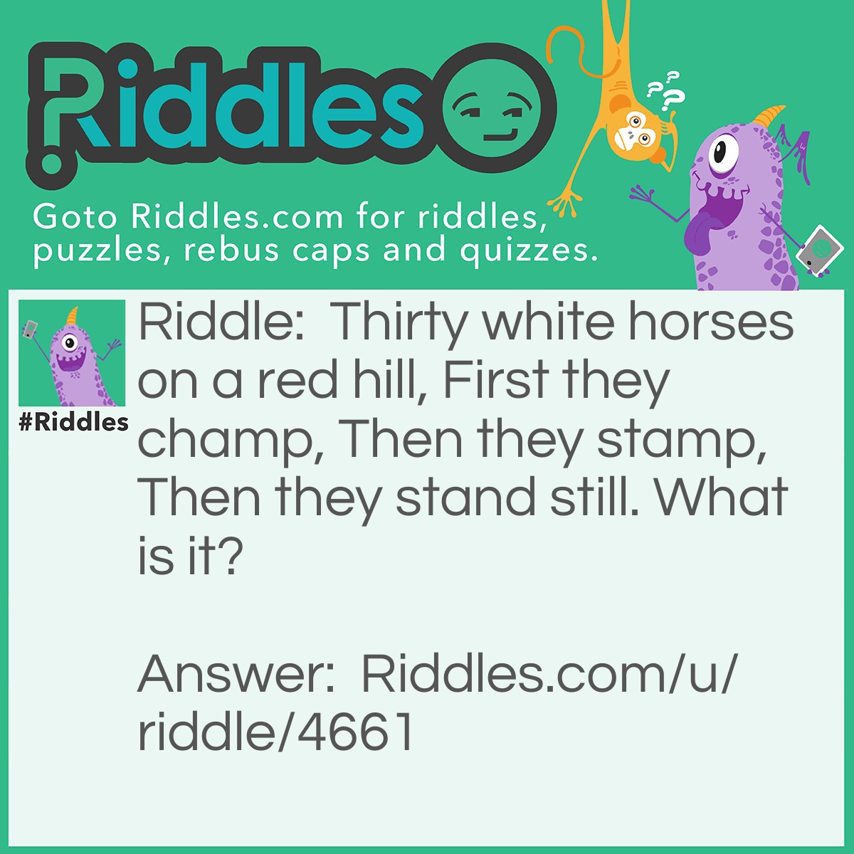 Riddle: Thirty white horses on a red hill, First they champ, Then they stamp, Then they stand still. What is it? Answer: Teeth.
