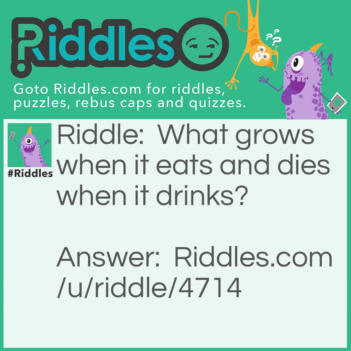 Riddle: What grows when it eats and dies when it drinks? Answer: FIRE.