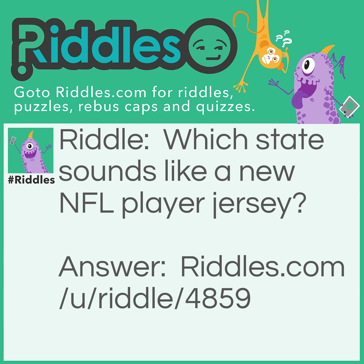 Riddle: Which state sounds like a new NFL player jersey? Answer: New Jersey.