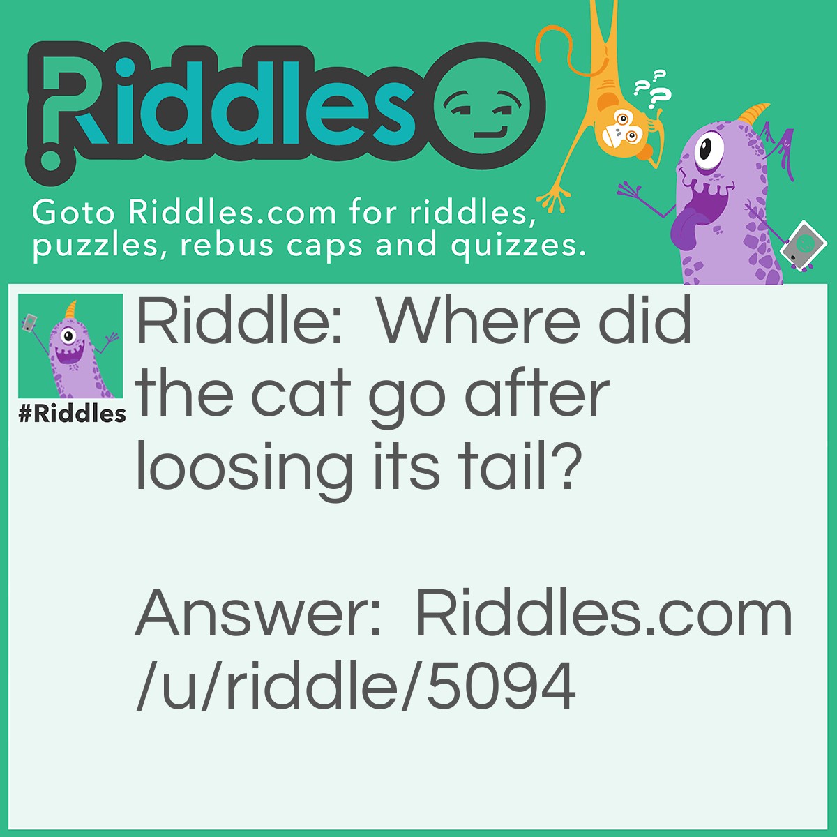 Riddle: Where did the cat go after loosing its tail? Answer: To the re-tail store.