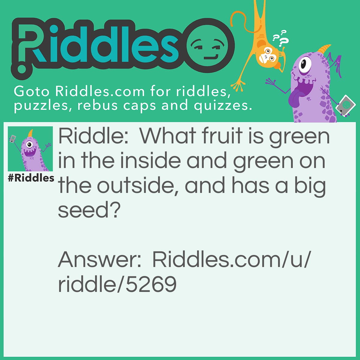 Riddle: What fruit is green in the inside and green on the outside, and has a big seed? Answer: An avocado.