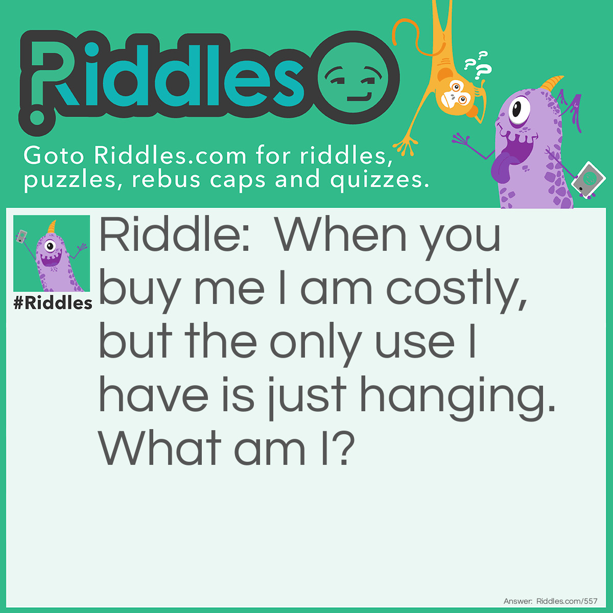 Riddle: When you buy me I am costly, but the only use I have is just hanging. 
What am I? Answer: Earrings.