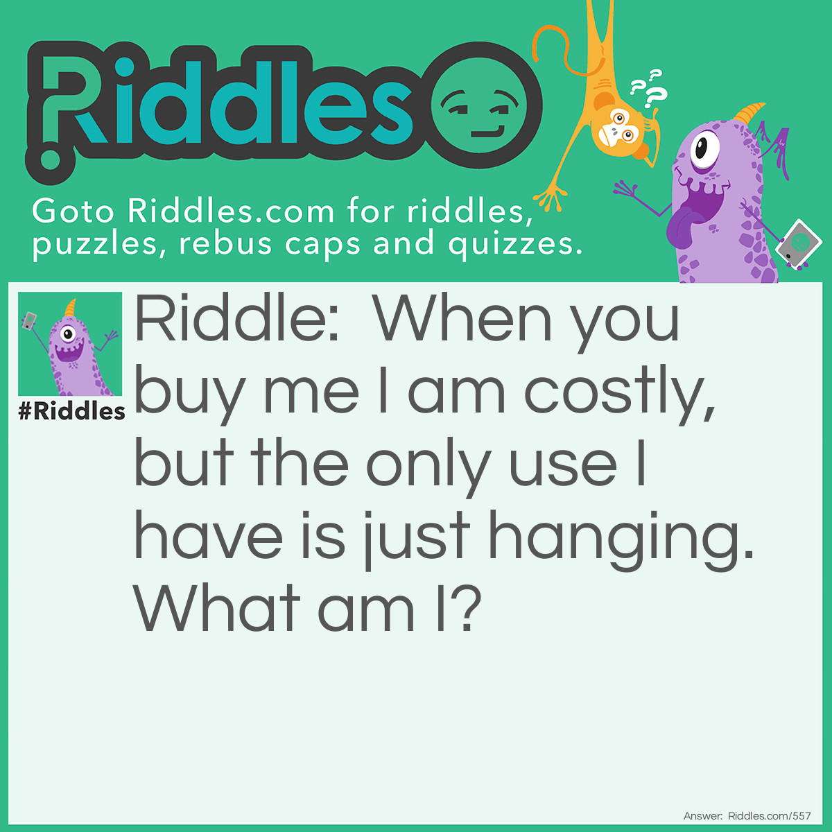 Riddle: When you buy me I am costly, but the only use I have is just hanging. 
What am I? Answer: Earrings.