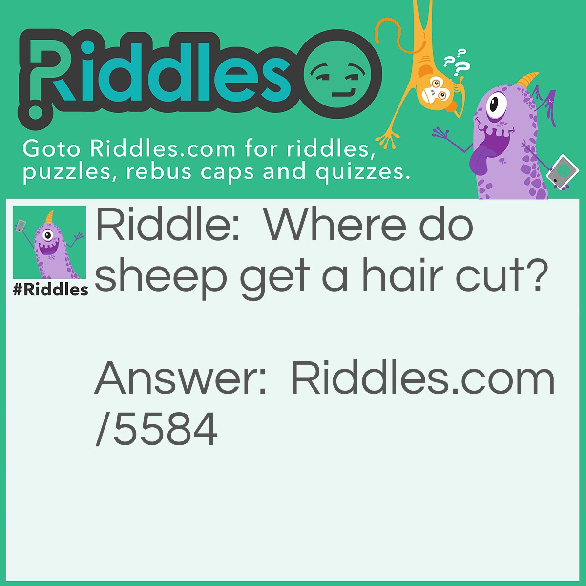 Riddle: Where do sheep get a hair cut? Answer: The baa-baa shop!