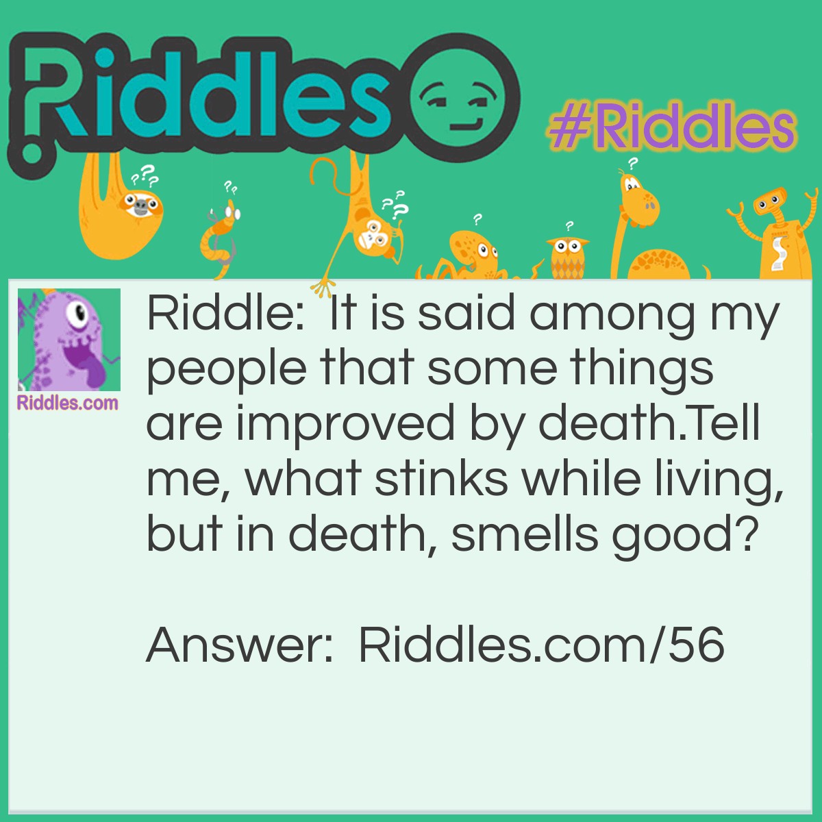 Riddle: It is said among my people that some things are improved by death. Tell me, what stinks while living, but in death, smells good? Answer: A Pig.