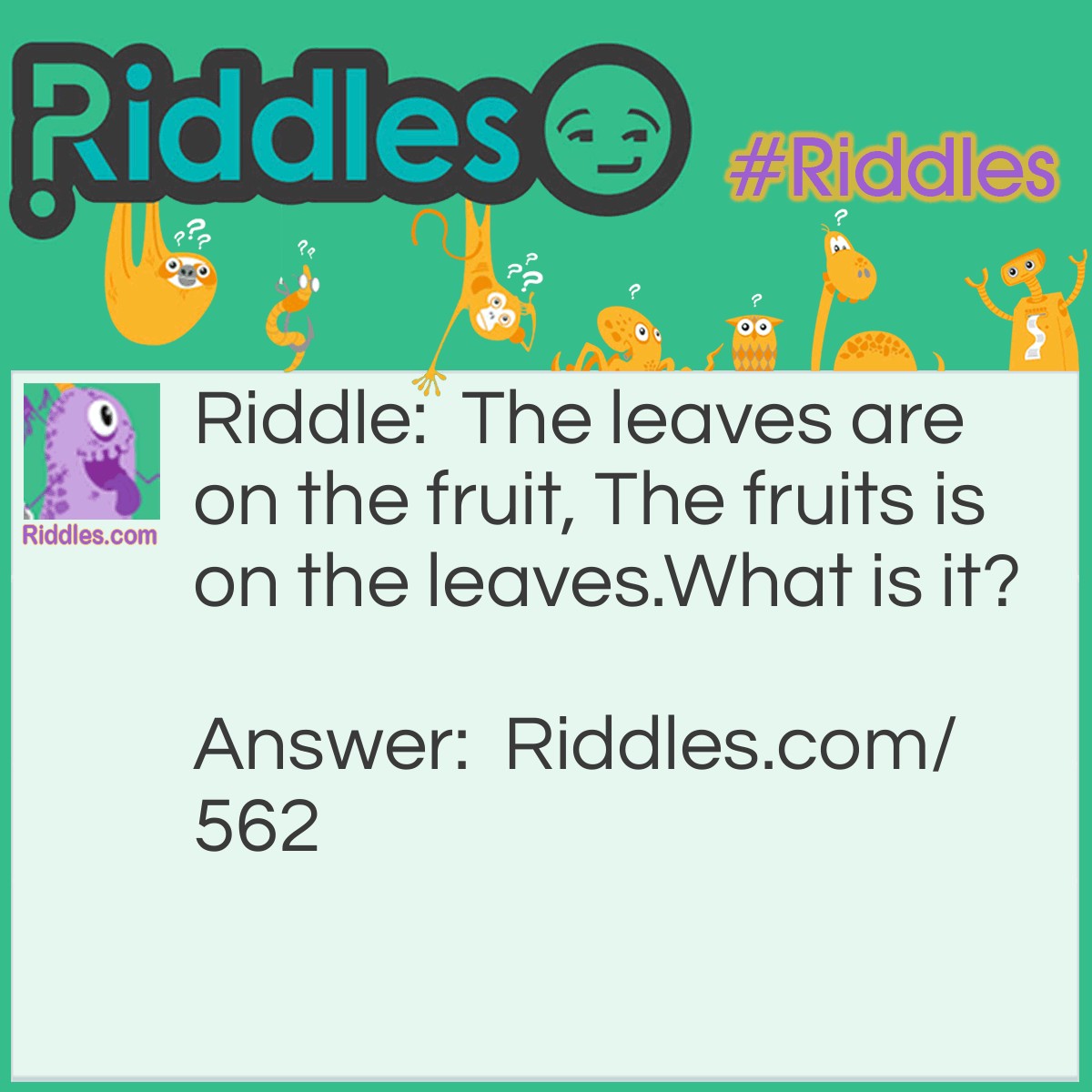 Riddle: The leaves are on the fruit, The fruits is on the leaves.
What is it? Answer: A pineapple.