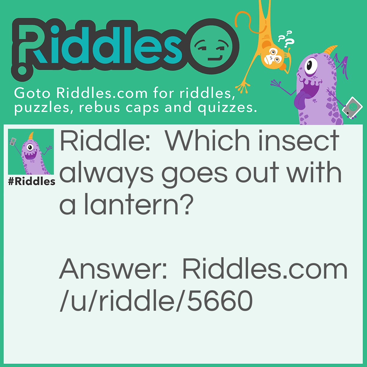 Riddle: Which insect always goes out with a lantern? Answer: The Lantern fly.