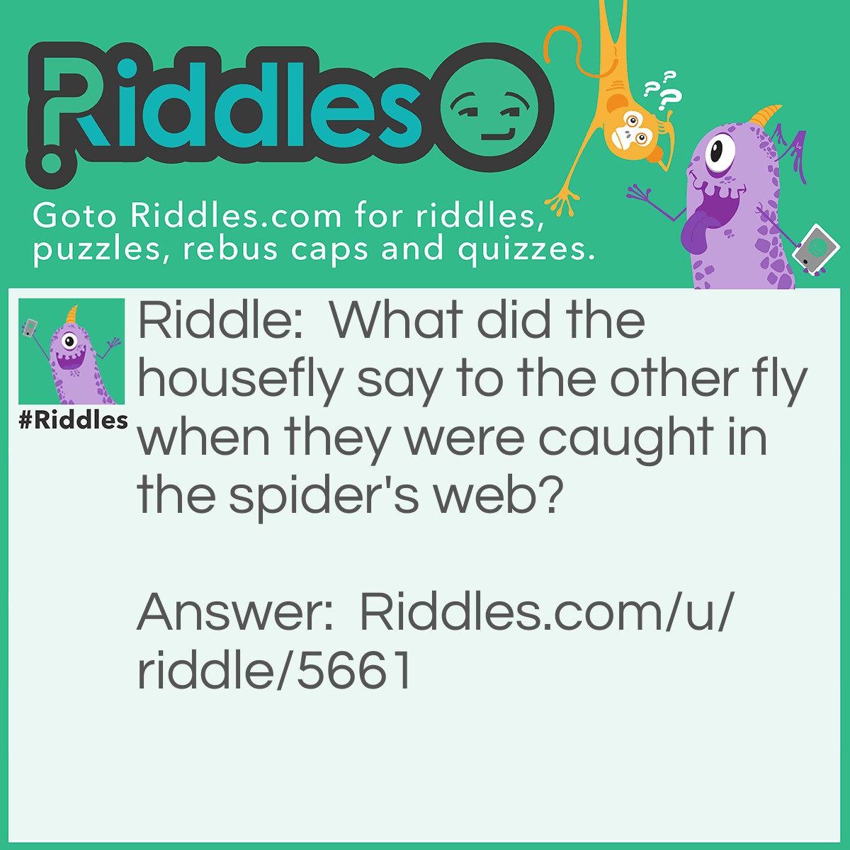 Riddle: What did the housefly say to the other fly when they were caught in the spider's web? Answer: Drag on fly (dragon fly).
