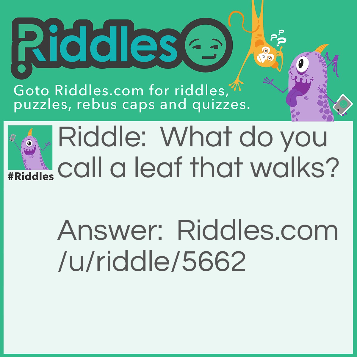 Riddle: What do you call a leaf that walks? Answer: A walking leaf.