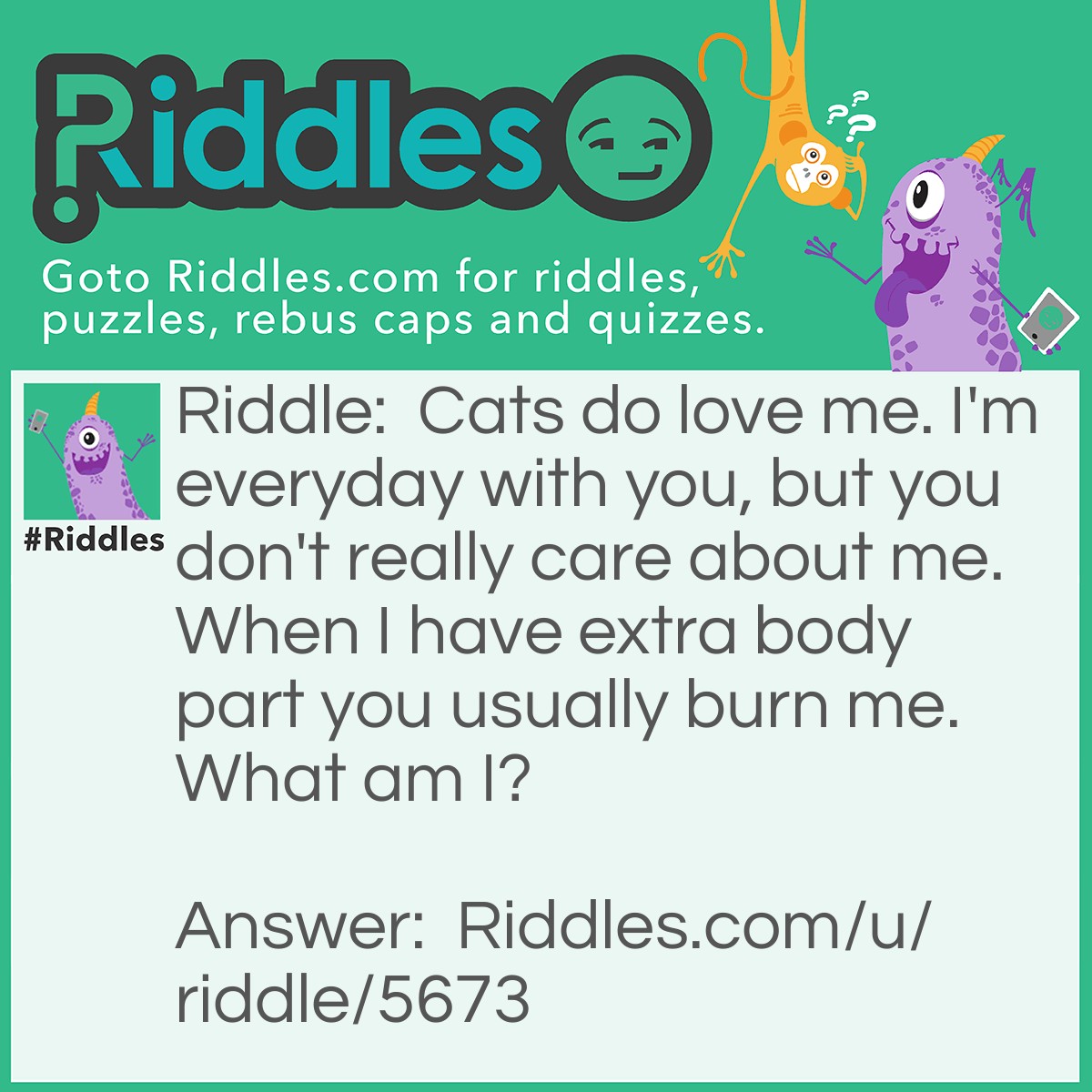 Riddle: Cats do love me. I'm everyday with you, but you don't really care about me. When I have extra body part you usually burn me. What am I? Answer: The yarn.