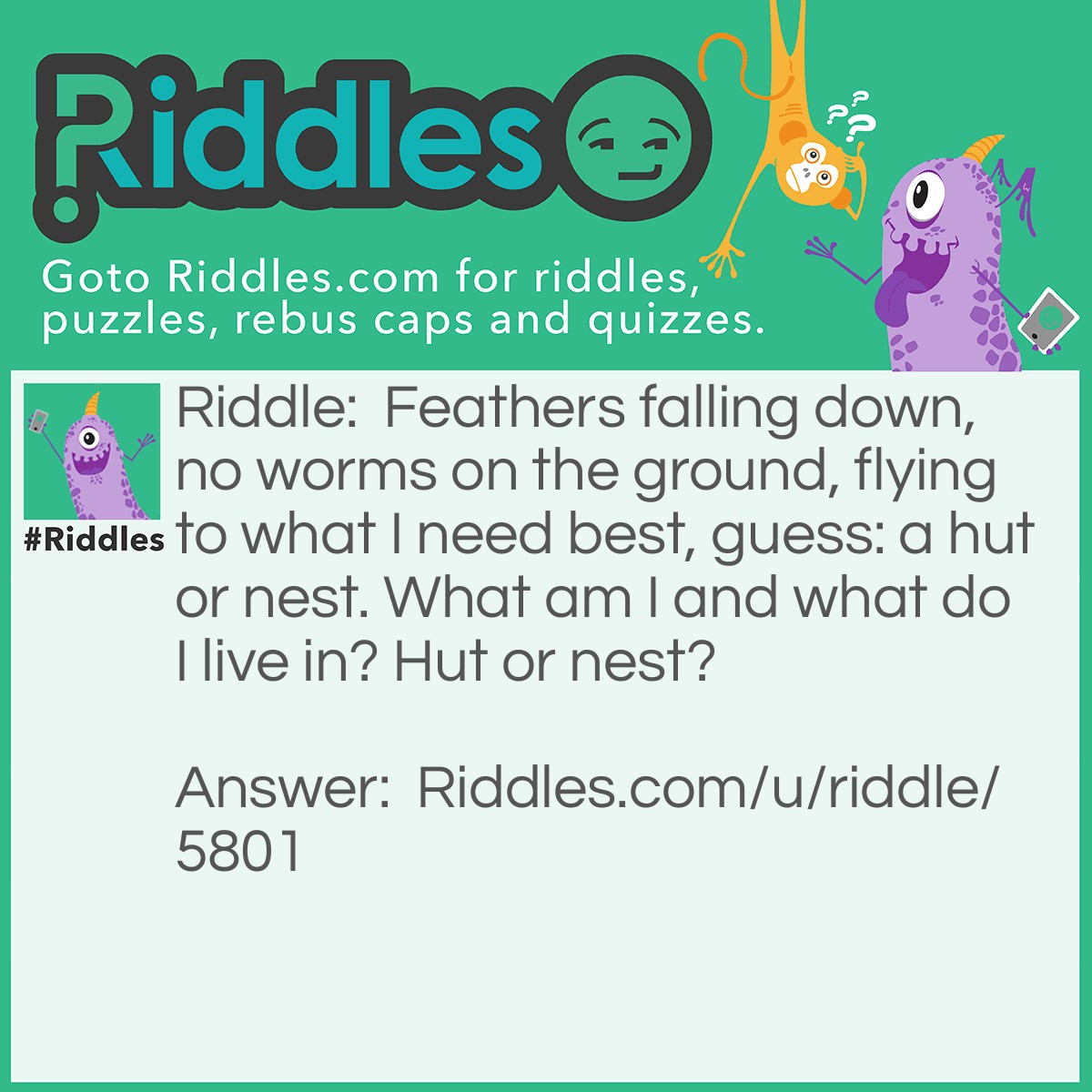 Riddle: Feathers falling down, no worms on the ground, flying to what I need best, guess: a hut or nest. What am I and what do I live in? Hut or nest? Answer: A bird lives in a nest.
