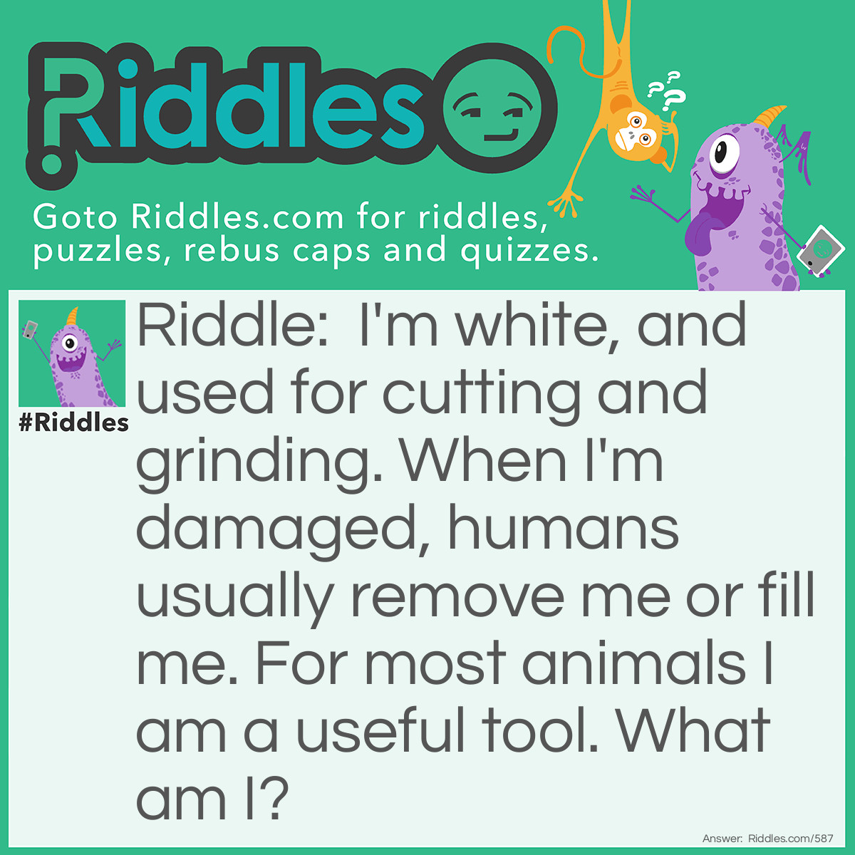 Riddle: I'm white, and used for cutting and grinding. When I'm damaged, humans usually remove me or fill me. For most animals I am a useful tool.
What am I? Answer: A tooth!