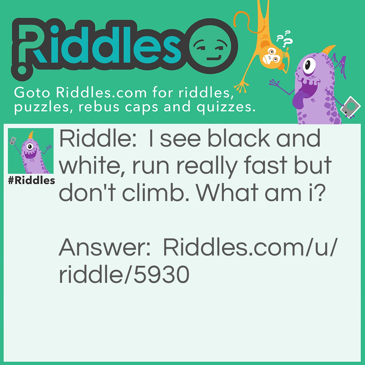 Riddle: I see black and white, run really fast but don't climb. What am i? Answer: A dog.