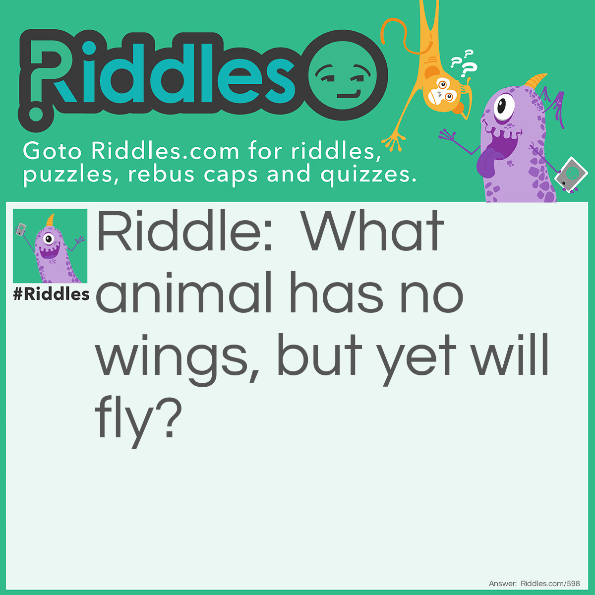Riddle: What animal has no wings, but yet will fly? Answer: A caterpillar has no wings, but will fly when it matures and becomes a butterfly.