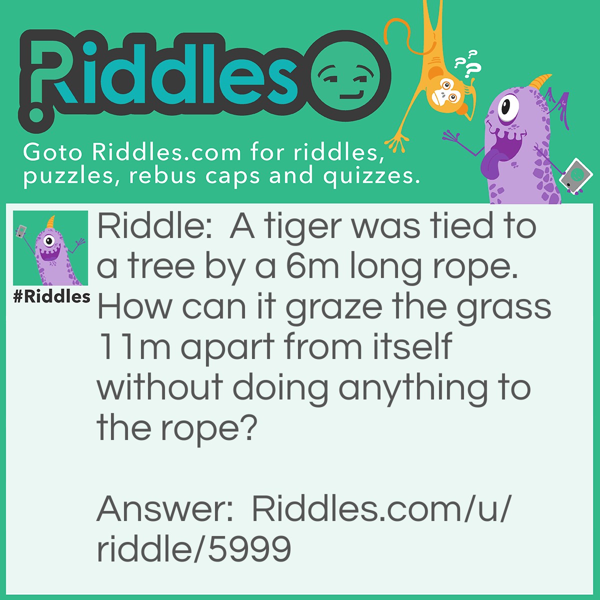 Riddle: A tiger was tied to a tree by a 6m long rope. How can it graze the grass 11m apart from itself without doing anything to the rope? Answer: You will not need to do anything since tigers are carnivores and do not eat grass.